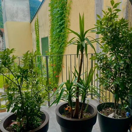 Lostelada Sul Di Tatil Evi Colico